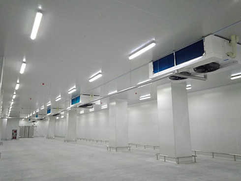 河北周黑鸭新工厂项目1#车间香蕉视频官网建造工程案例