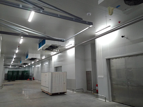 河北周黑鸭新工厂项目1#车间香蕉视频官网建造工程案例